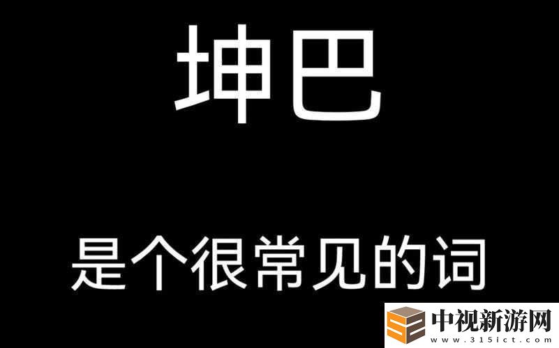 什么是坤巴照片：對這一概念的深入探究與解讀