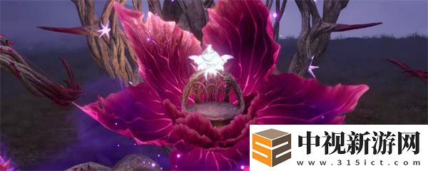 無限暖暖天星之羽獲取攻略與具體位置詳解分享