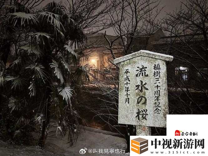 飄雪日本高清免費觀看電視劇！雪景絕美劇情催淚