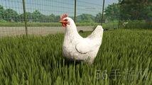 模擬農場25畜牧動物有哪些