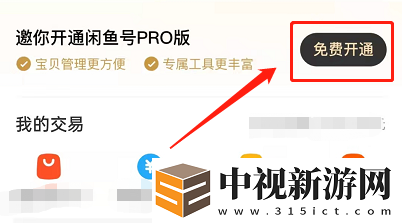 閑魚(yú)怎么開(kāi)通pro版