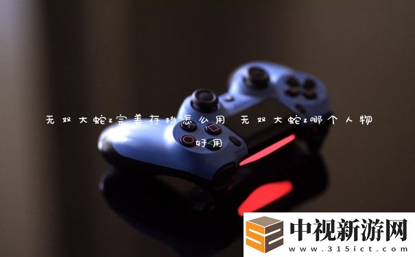 無雙大蛇z完美存檔怎么用