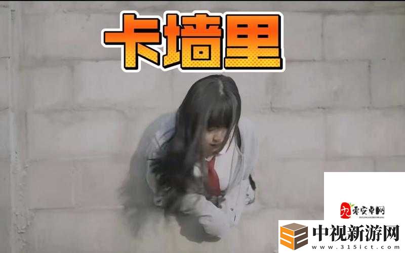 怎么去擁有一道彩虹歌詞背后的絕美感動！這首歌讓無數人淚崩