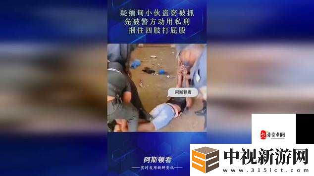 絕了！榮耀勛章第三期專屬寵物曝光