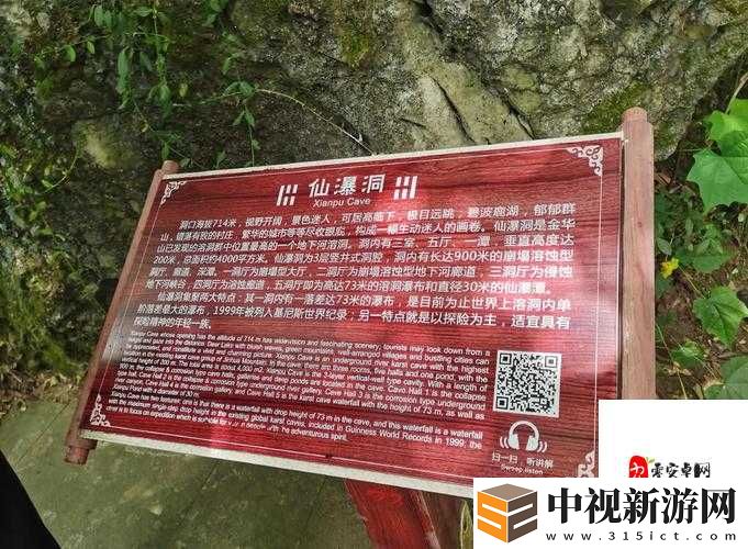 掌門修仙記后山隱藏功能大揭秘！絕美秘境藏著這些必看寶藏
