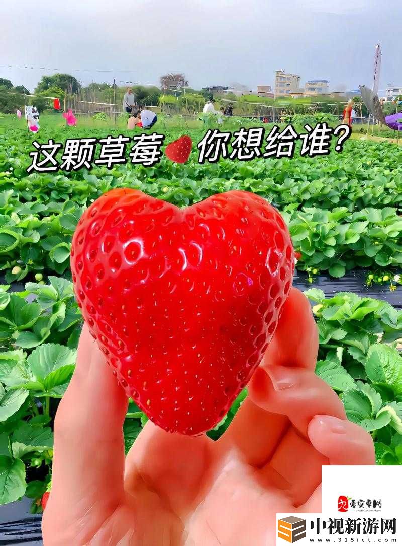?草莓視頻pp?18在線視頻爆火！這個秘密玩法讓千萬女生上頭了