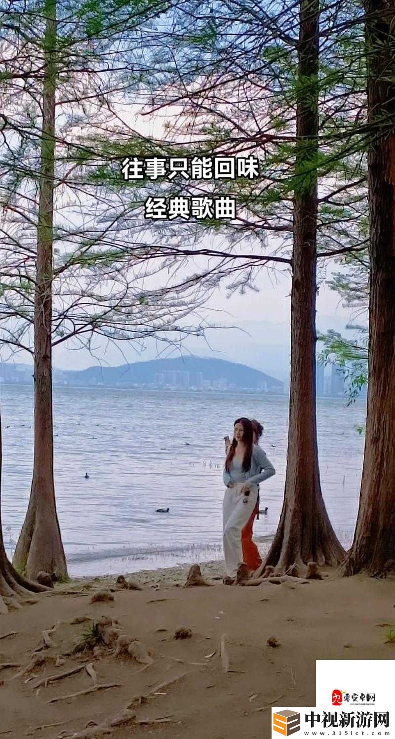 抖音那年時(shí)光就這樣一去不回是什么歌