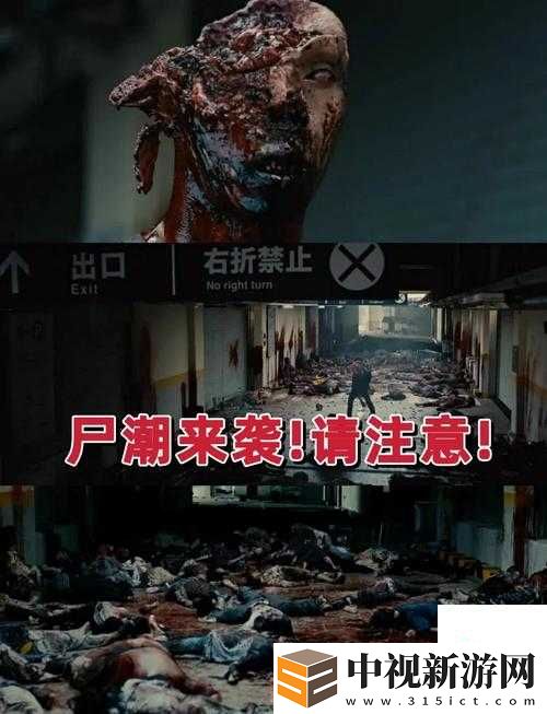 血淚總結(jié)！零失誤通關(guān)喪尸海必看攻略